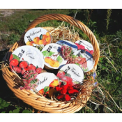 Yaourts fermiers aux fruits