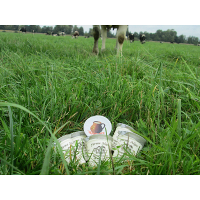 Yaourts fermiers nature 