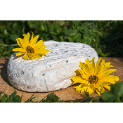 La tomme aromatisée ou nature
